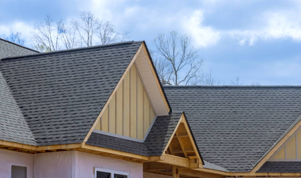 Best Roof Moss and Algae Removal  in Taunton, MA