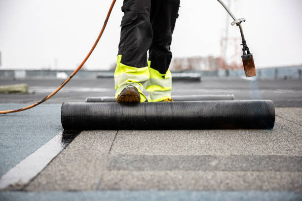 Best Skylight Installation and Repair  in Taunton, MA